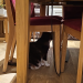 IMG-20250430-WA0000