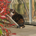 IMG-20250430-WA0006