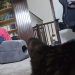 IMG-20250502-WA0006
