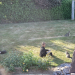 IMG-20250521-WA0007