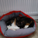 IMG-20250527-WA0004