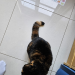 IMG-20250612-WA0001