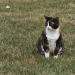 IMG-20250623-WA0014