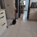 IMG20250527065230