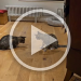 VID-20250530-WA0007