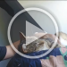 VID-20250616-WA0009