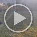 VID20250521190038